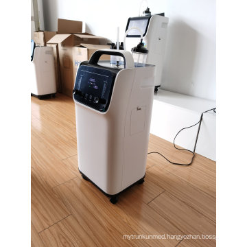 1L/3L/5L Medical Hospital Oxygen Concentrator with Nebulizer